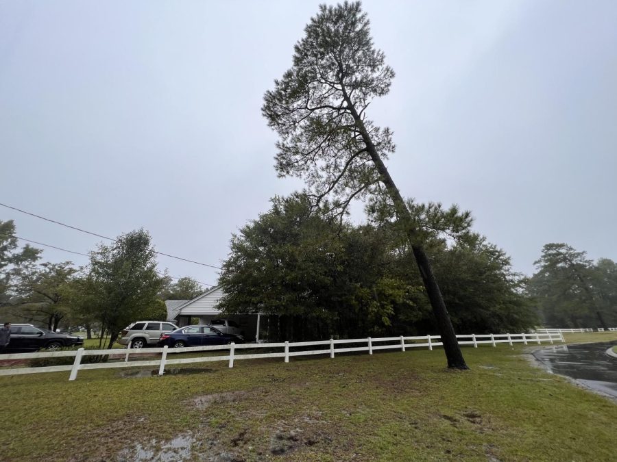 A tree on Hackler Golf Course leans over students house during the hurricane. 