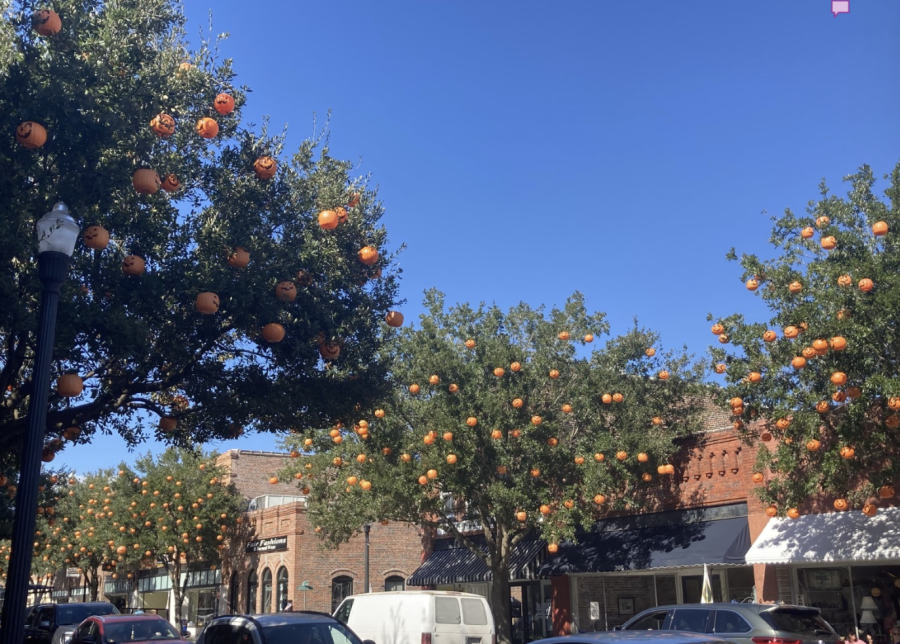 Pumpkins+hang+in+trees+that+line+Main+Street.