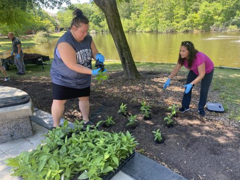 Special projects coordinator in the office of initiatives Allie Tanner (left)
and executive assistant in the office of the president Amanda Foss work
together to plant on Prince Lawn. 
