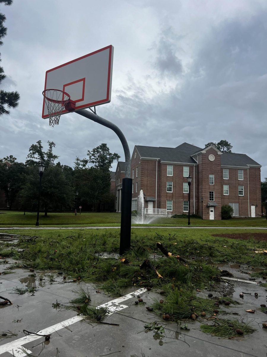 Remnants of debris from a tree fall are near Tradition Hall. CCU Grounds Department cleaned up some of the large debris.