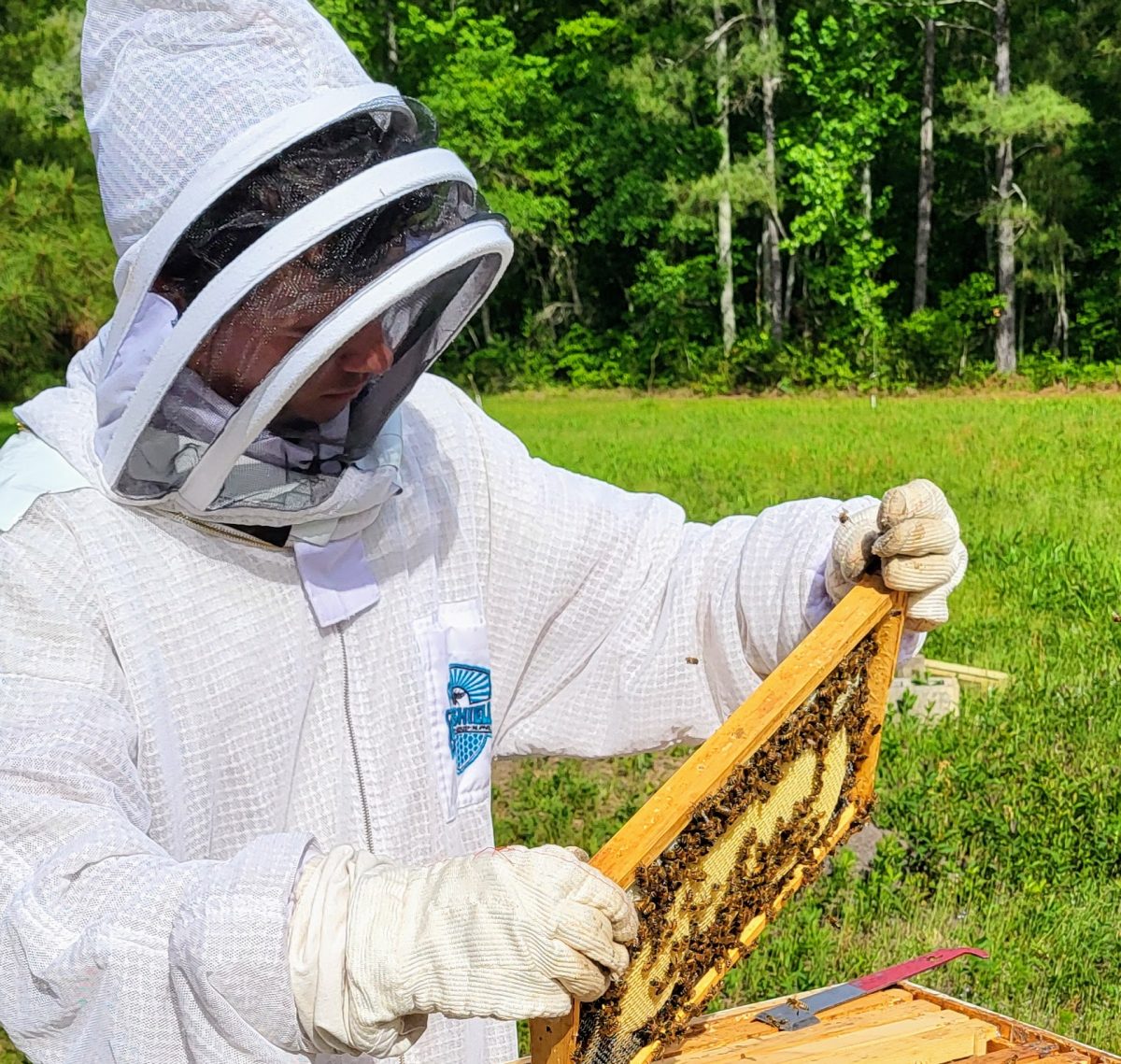 Photo courtesy of Coastal Beekeeping Club 