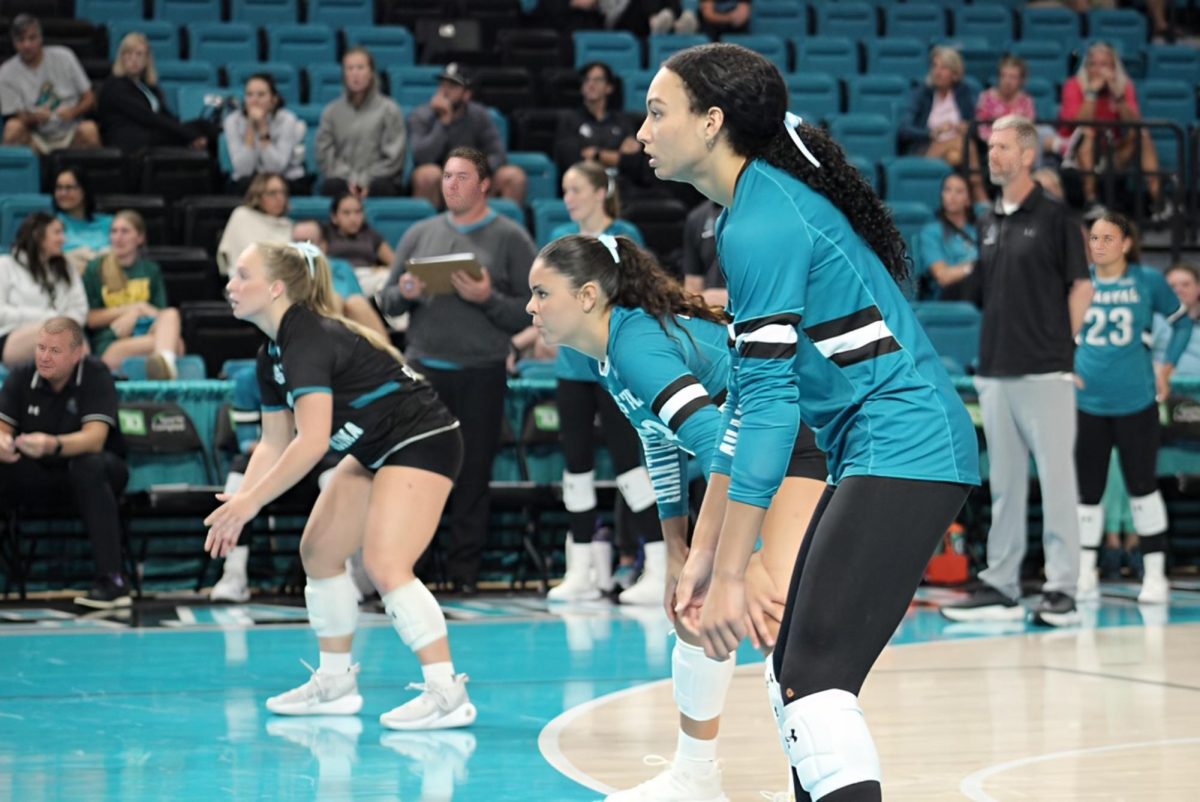 Volleyball back in session: Chants push Gamecocks to five