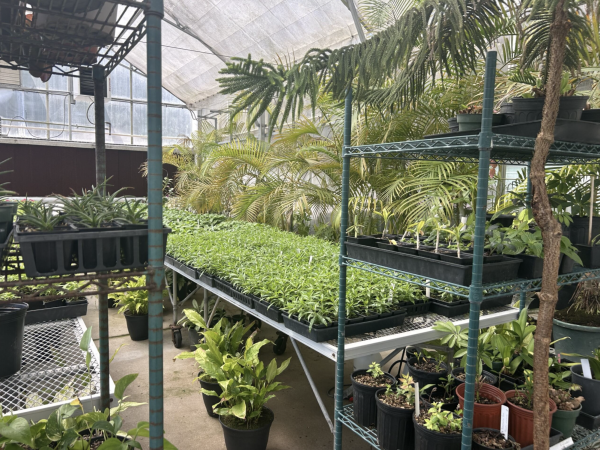 The campus greenhouse located behind the HTC Center. Photo provided by Ashton Scipio.